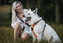 bluewave professional pet sitter