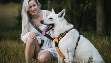 bluewave professional pet sitter